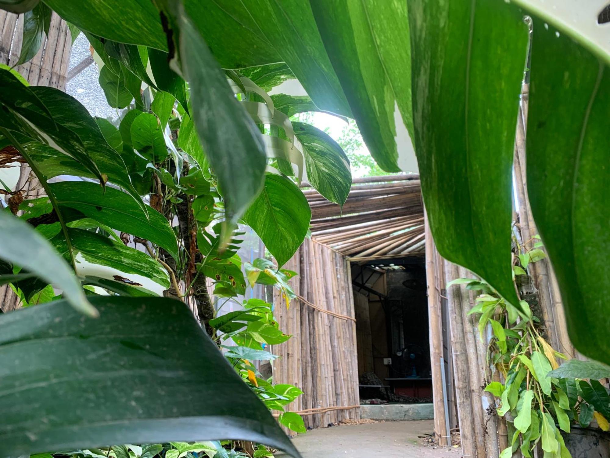 Fundee Story Guesthouse Bamboo House In Chiang Mai Old Town المظهر الخارجي الصورة